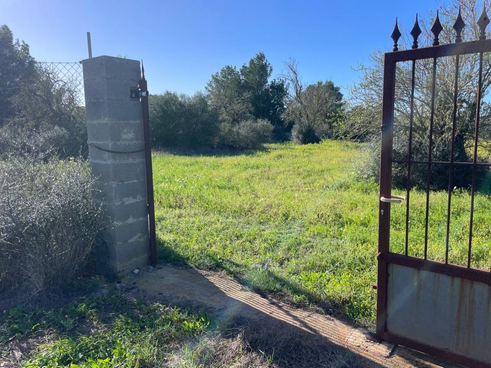Helårsgrund i Campos, Mallorca - foto 4