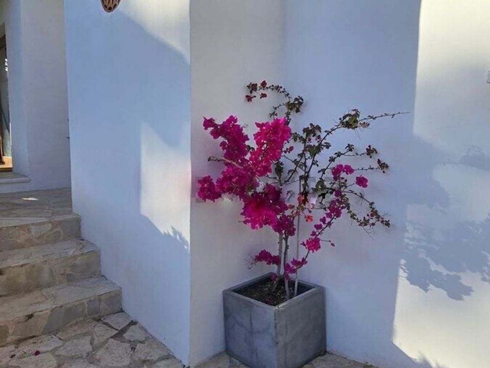 Byhus i Santa Ponsa, Mallorca - foto 4