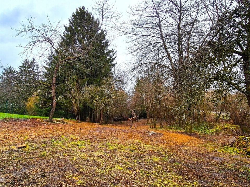 Villa em Rémelfing, Moselle - foto 1