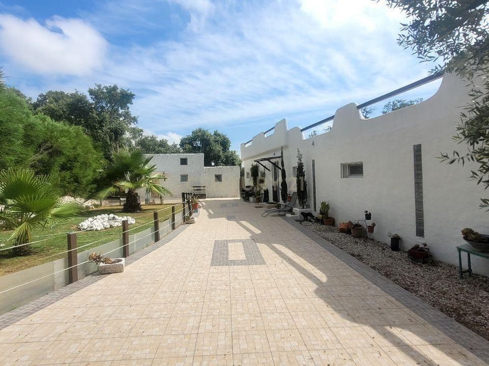 Gårdshus i Moita, Setubal - bilde 1