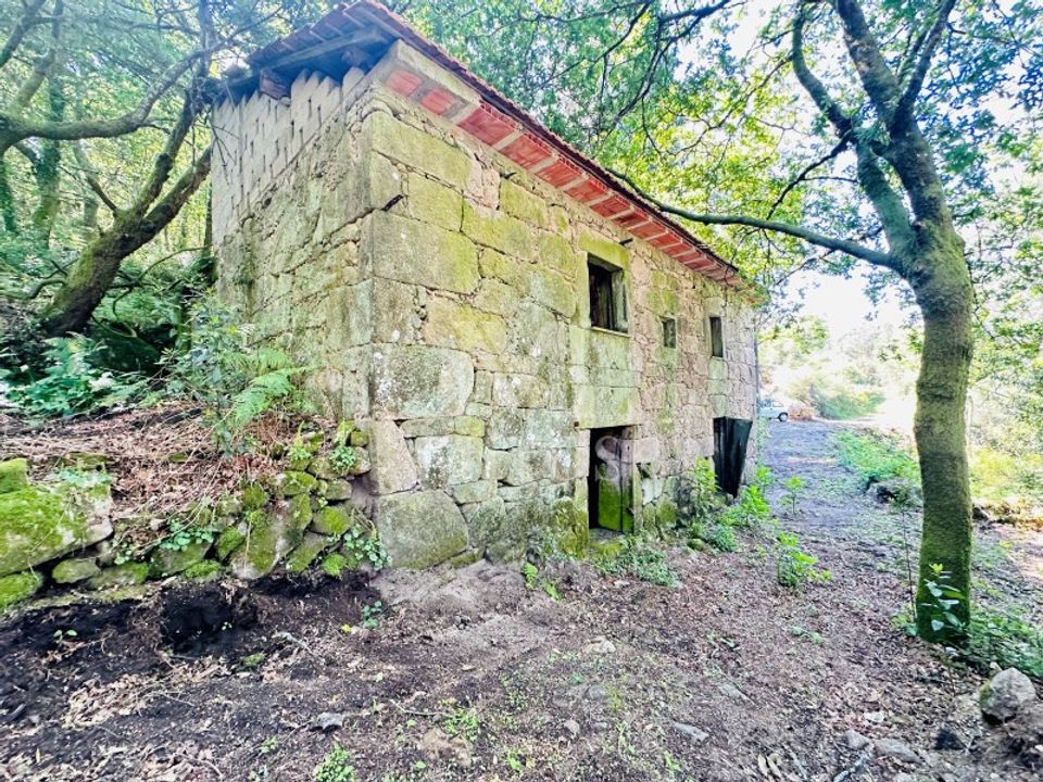Farm i Guimaraes, Braga - foto 1