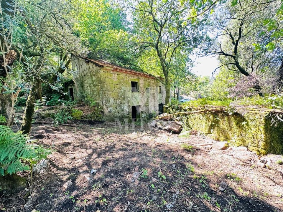 Farm i Guimaraes, Braga - foto 2