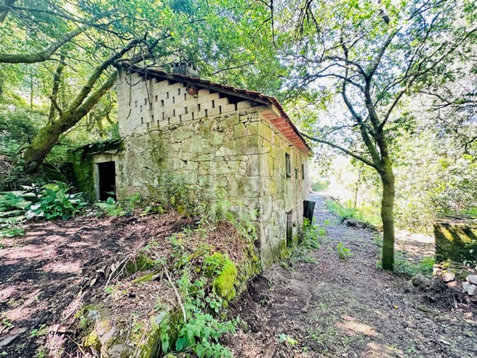 Farm i Guimaraes, Braga - foto 3
