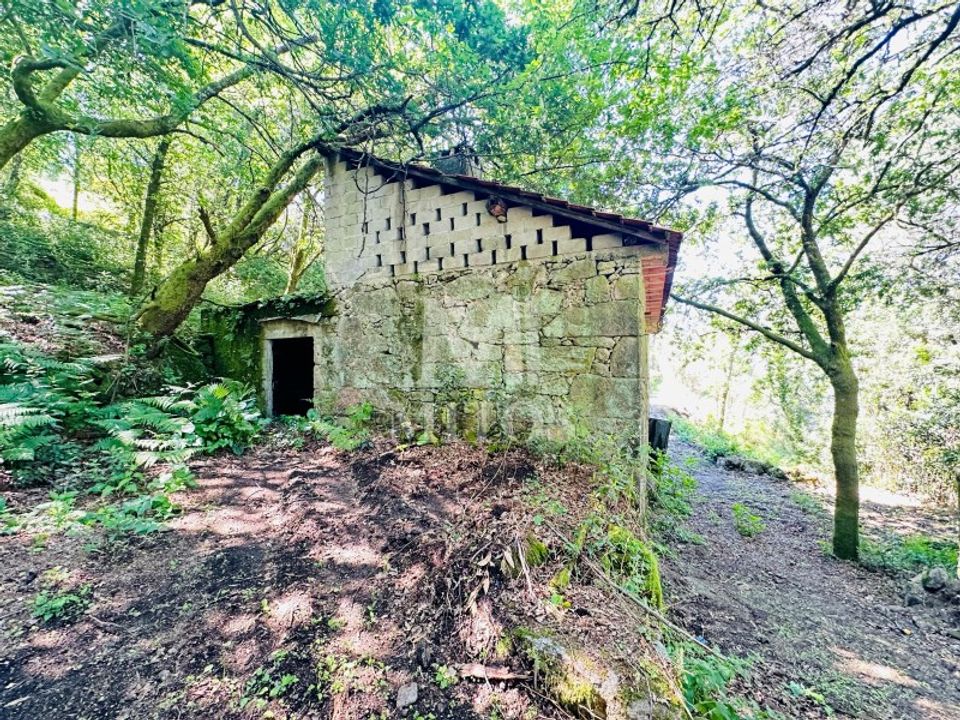 Farm i Guimaraes, Braga - foto 4