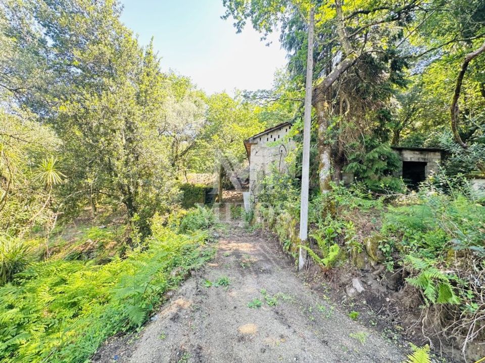 Farm i Guimaraes, Braga - foto 5
