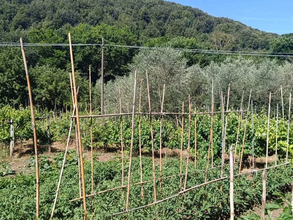 Propriedade comercial em Amelia, Terni - foto 5