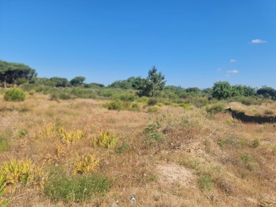 Helårsgrund i Almancil, Faro - foto 2