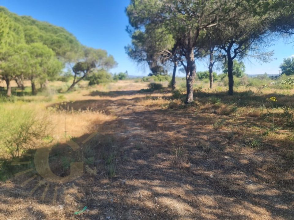Helårsgrund i Almancil, Faro - foto 3
