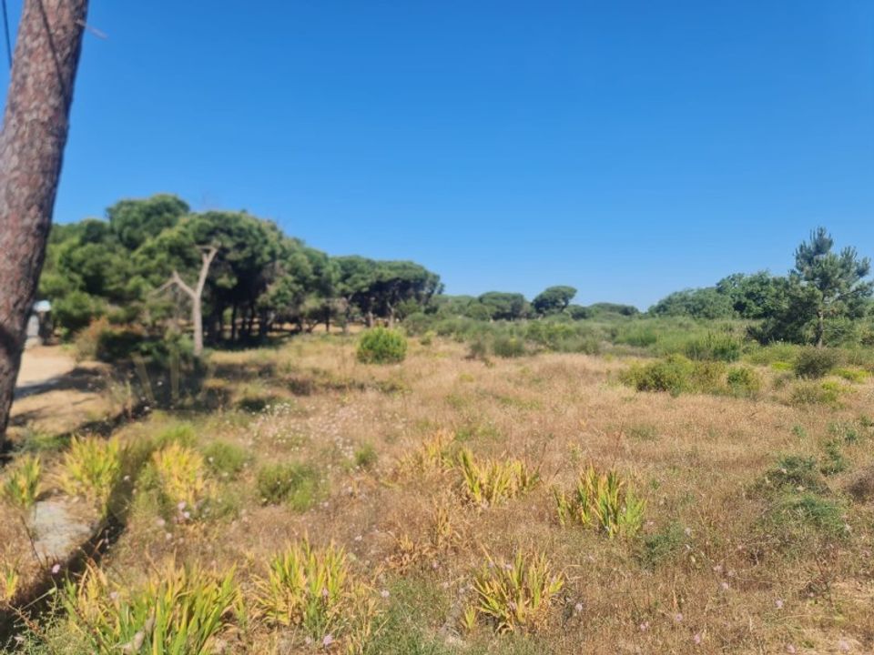 Helårsgrund i Almancil, Faro - foto 5