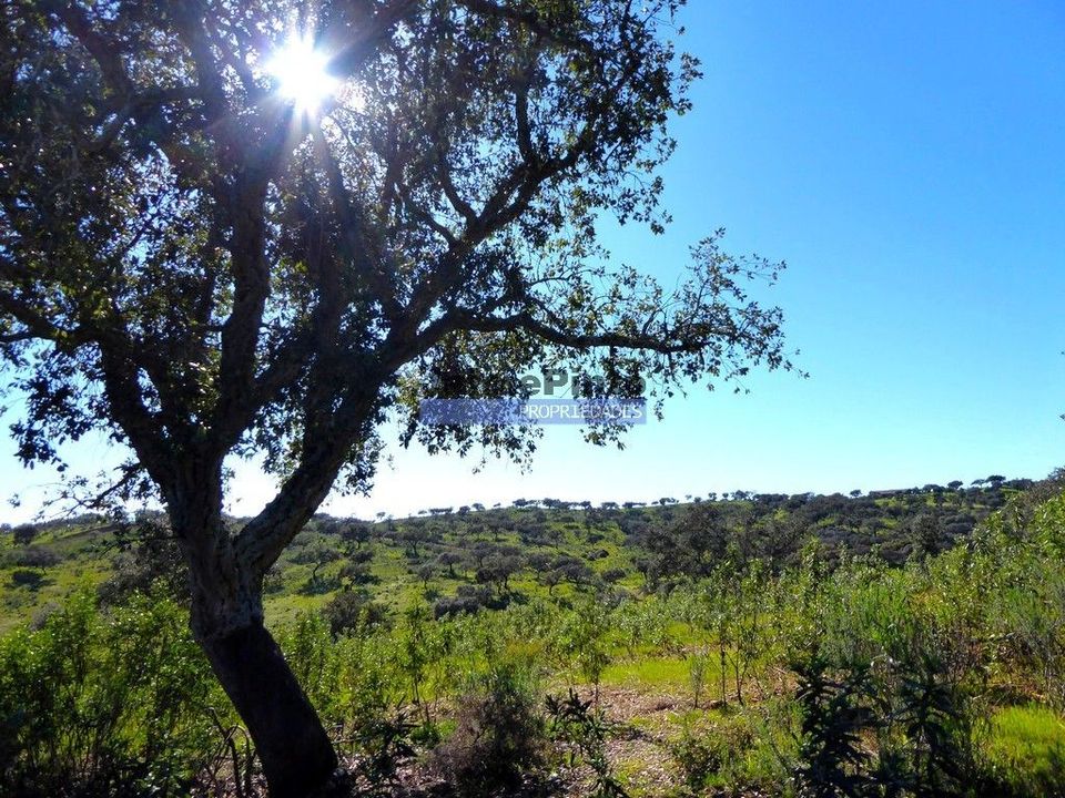 Terreno en Portel, Evora - foto 1