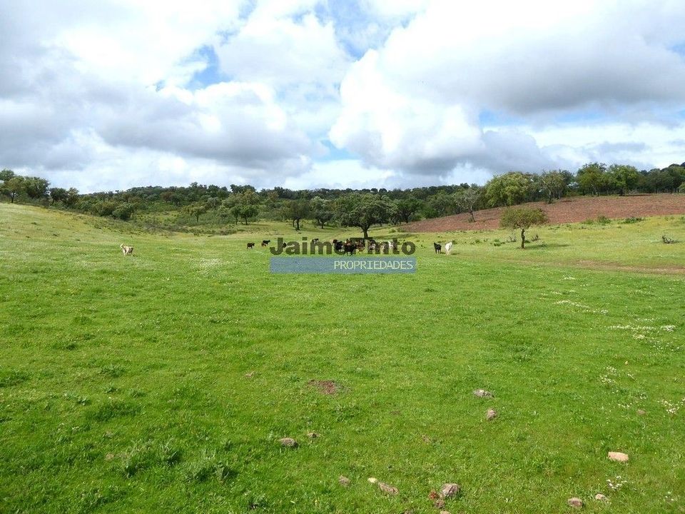 Terreno en Portel, Evora - foto 2