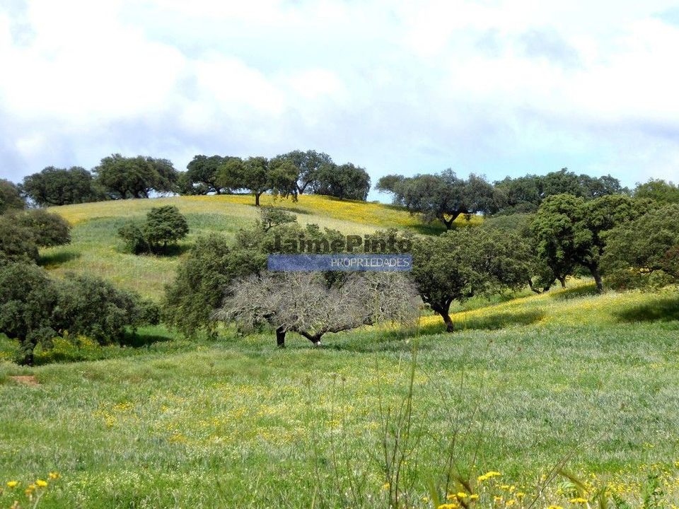 Terreno en Portel, Evora - foto 3