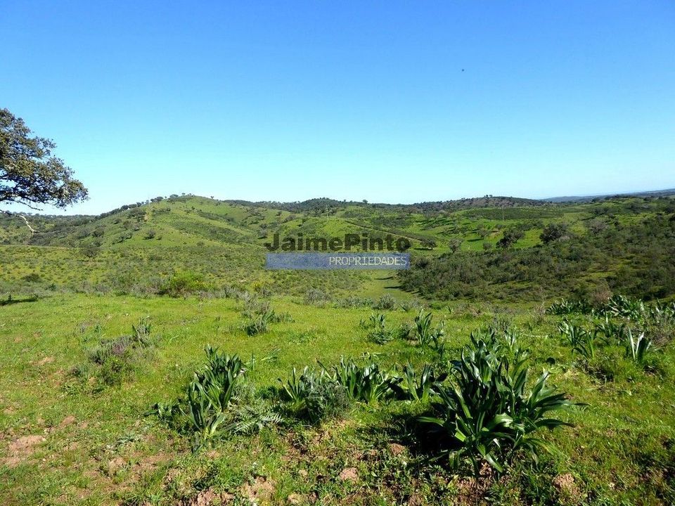 Terreno en Portel, Evora - foto 4
