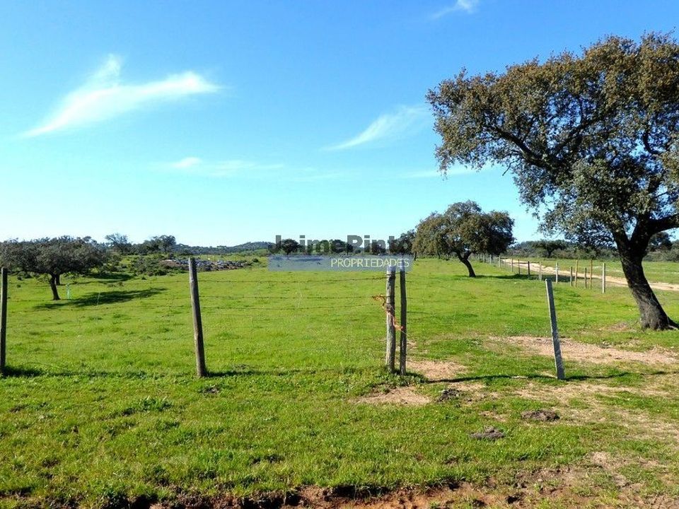 Terreno en Portel, Evora - foto 5