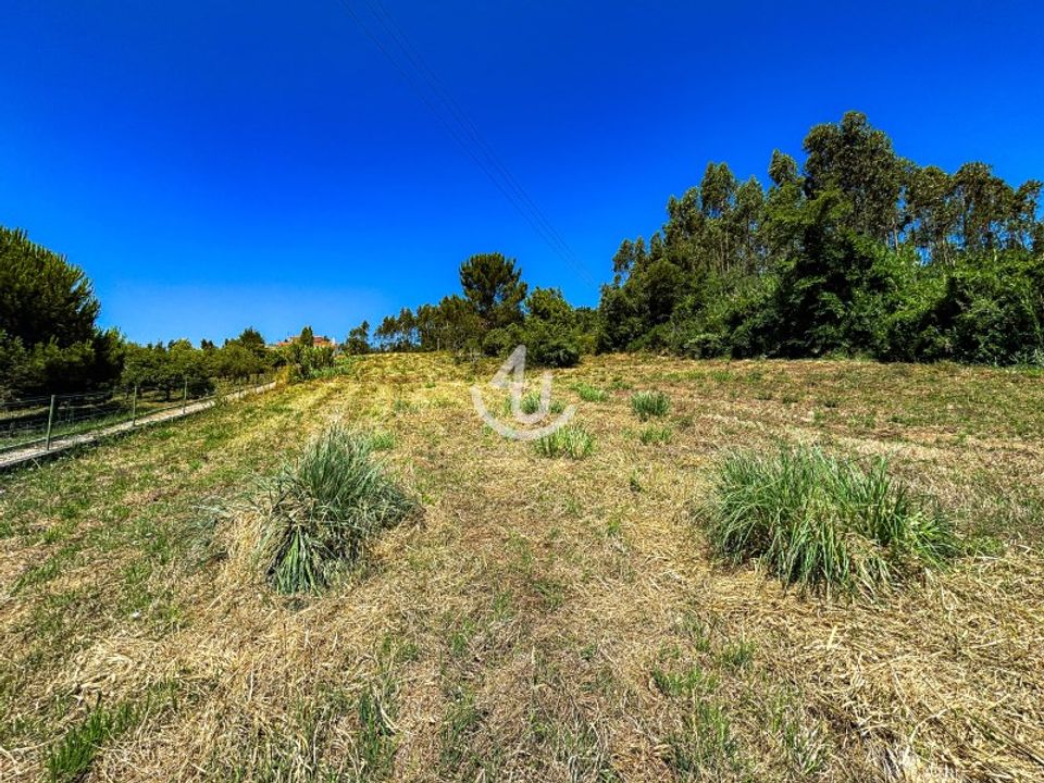 Terra a Maiorga, Leiria - foto 3