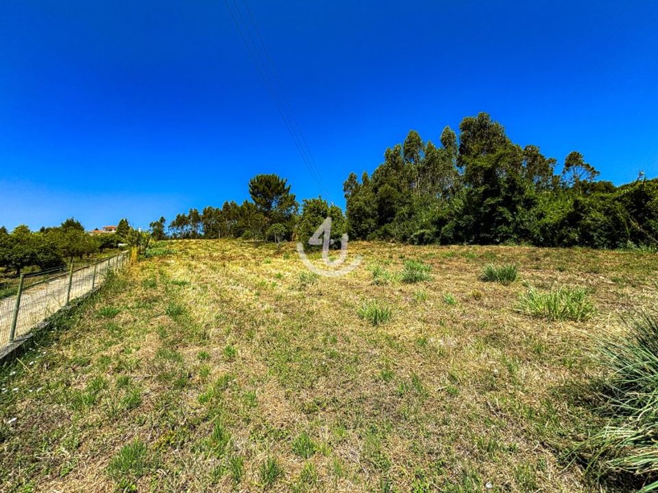 Terra a Maiorga, Leiria - foto 4