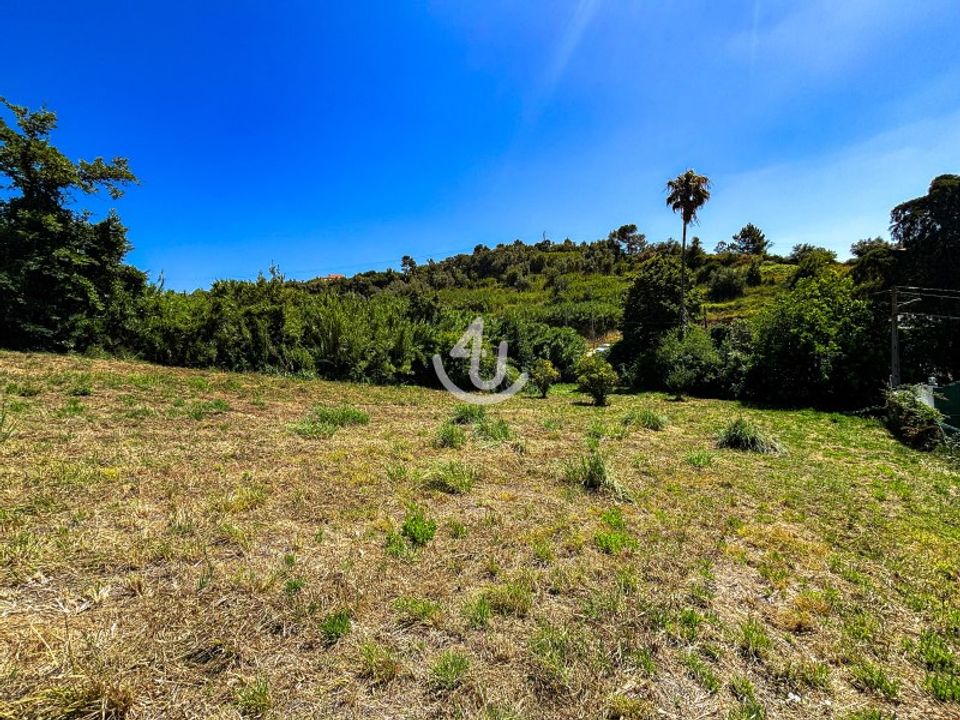 Terra a Maiorga, Leiria - foto 5