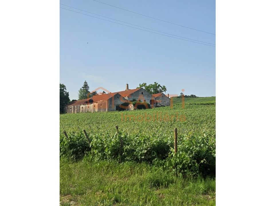 Boerderij in Alenquer, Lisbon - foto 1