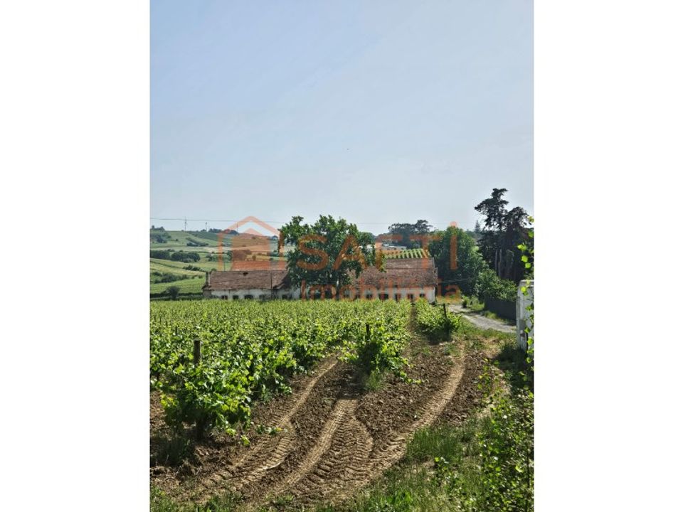 Boerderij in Alenquer, Lisbon - foto 5