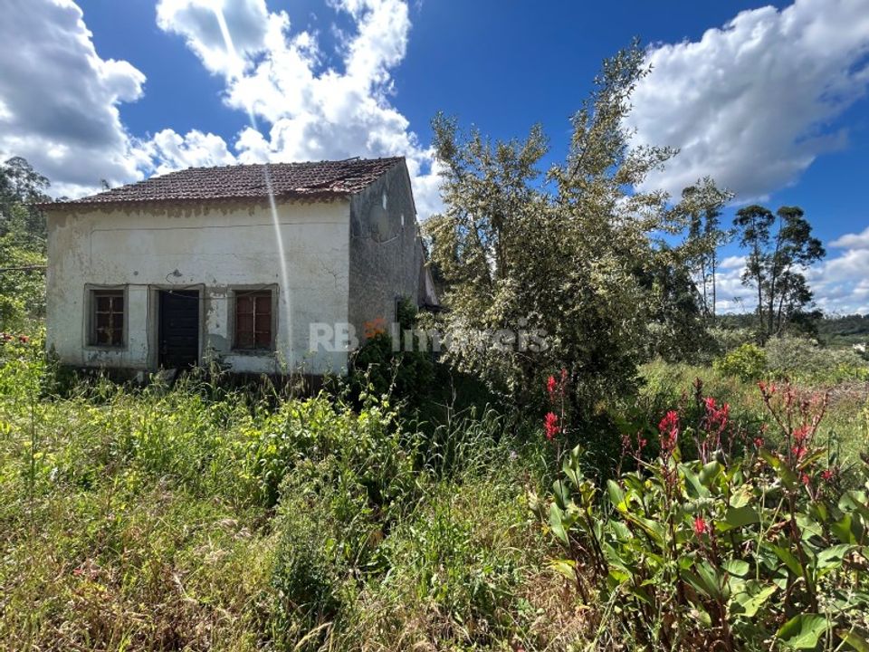 Landejendom i Ferreira do Zezere, Santarem - foto 3