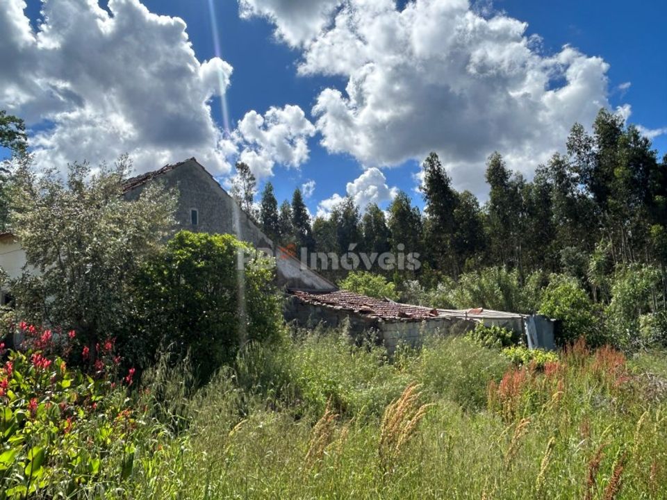 Landejendom i Ferreira do Zezere, Santarem - foto 5