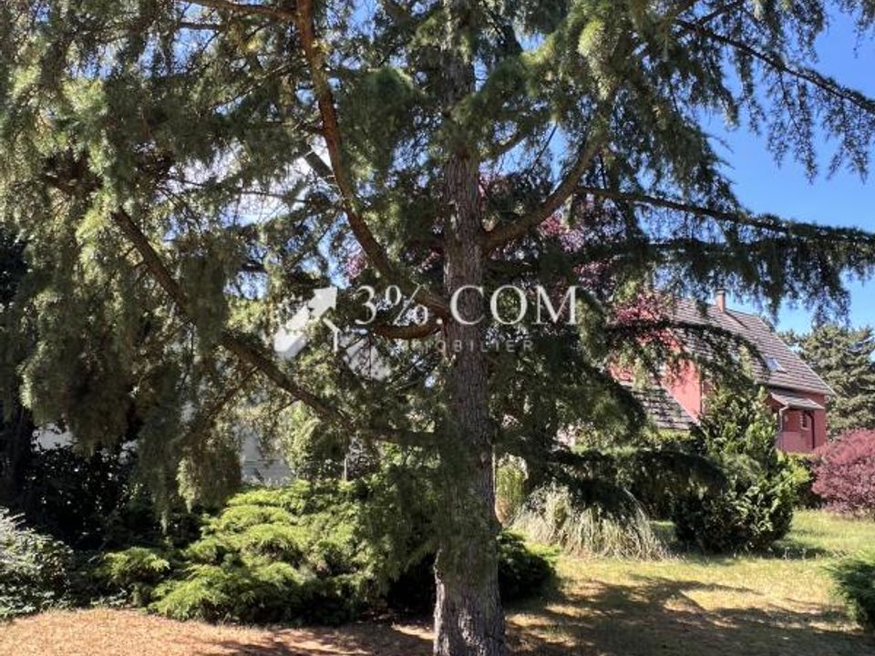 Villa en Sélestat, Bas-Rhin - foto 4