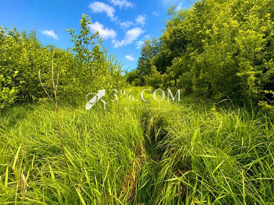 Helårsgrund i Chazelles-Sur-Albe, Meurthe-et-Moselle - foto 1