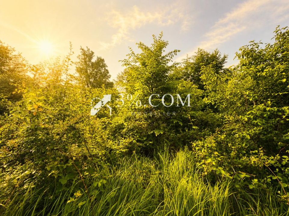 Helårsgrund i Chazelles-Sur-Albe, Meurthe-et-Moselle - foto 3