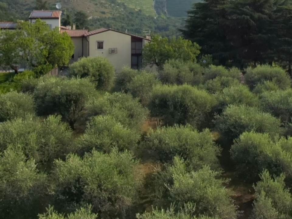 Villa i Negar, Verona - foto 1
