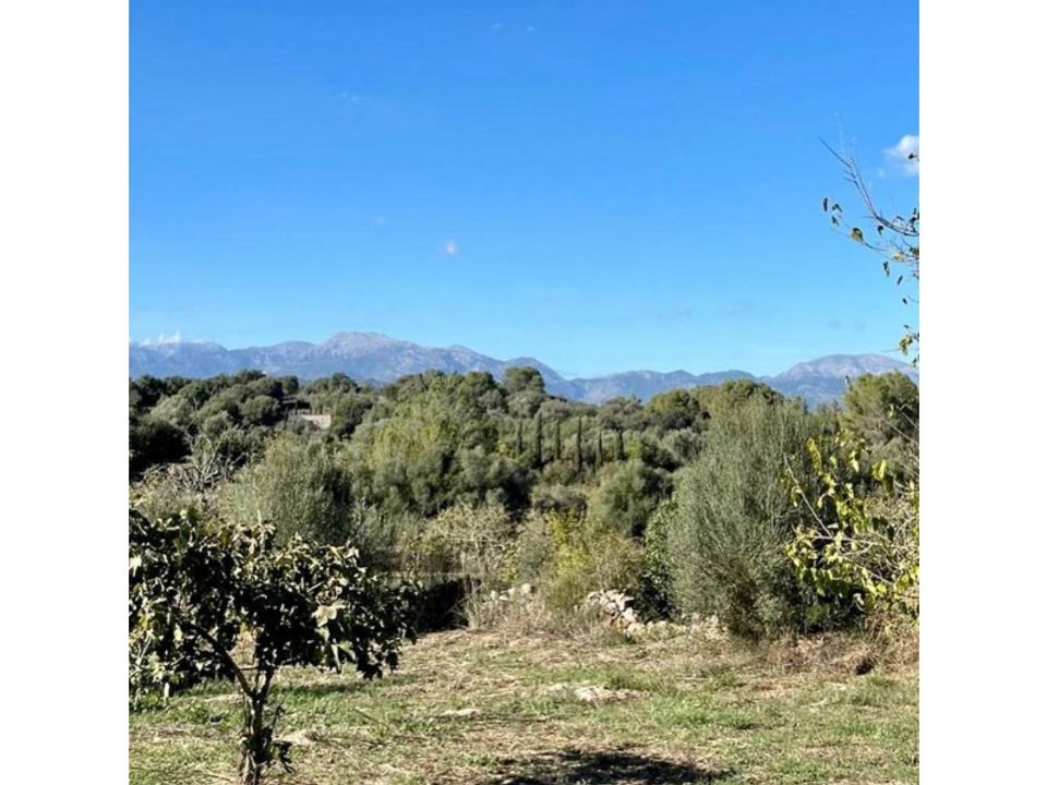 Landhaus in Llubi, Mallorca - Foto 5