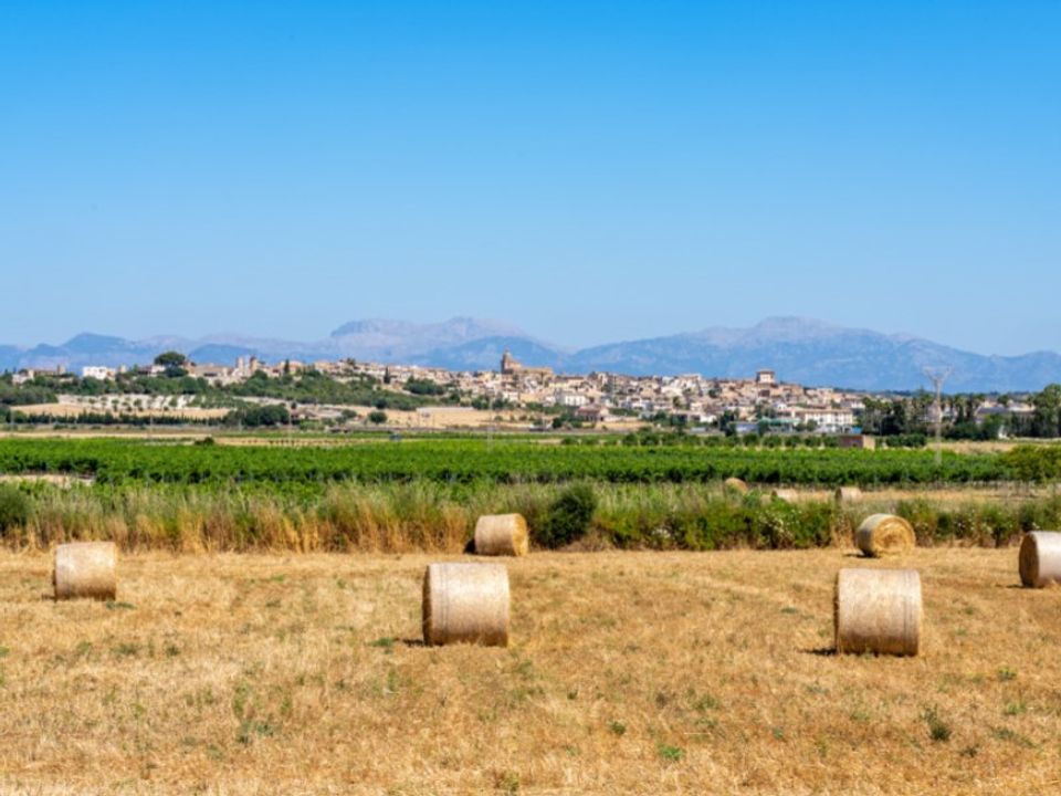 Landejendom i Montuiri, Mallorca - foto 2