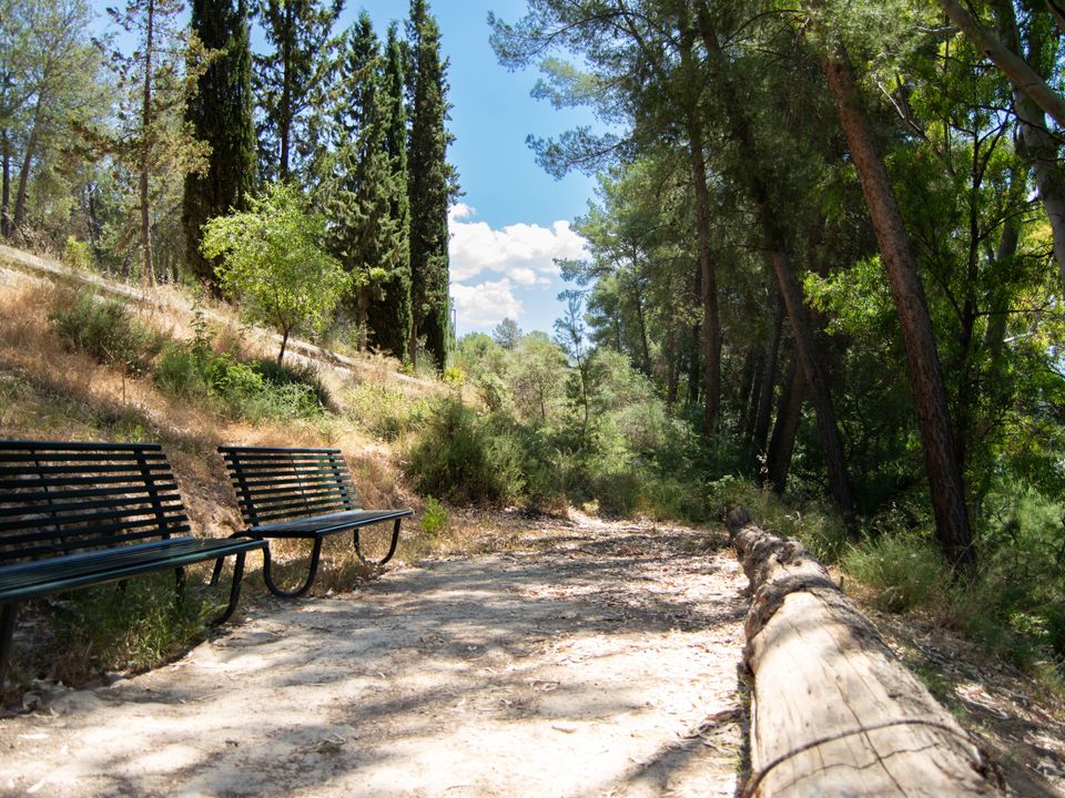 Helårsgrund i Granada, Granada - foto 3