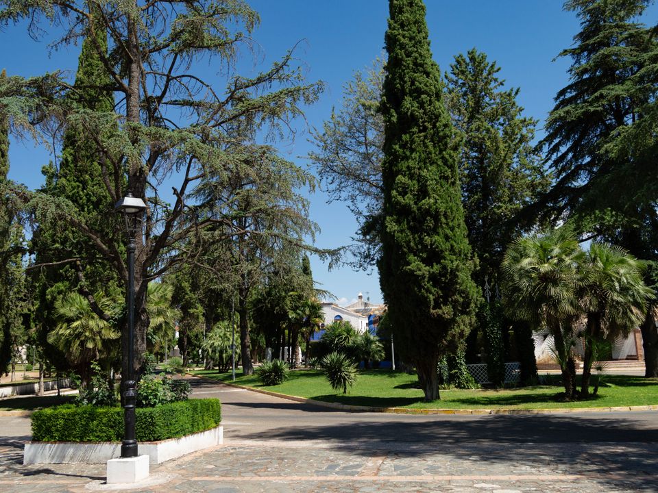 Helårsgrund i Granada, Granada - foto 5