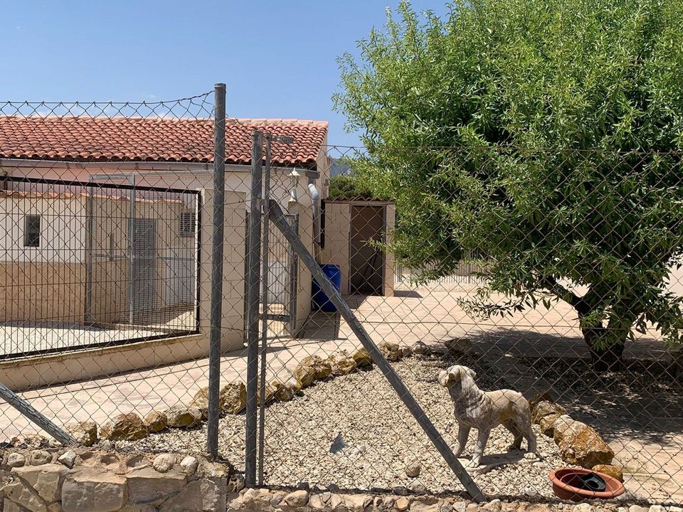 Erhvervsejendom i Salinas, Alicante - foto 3