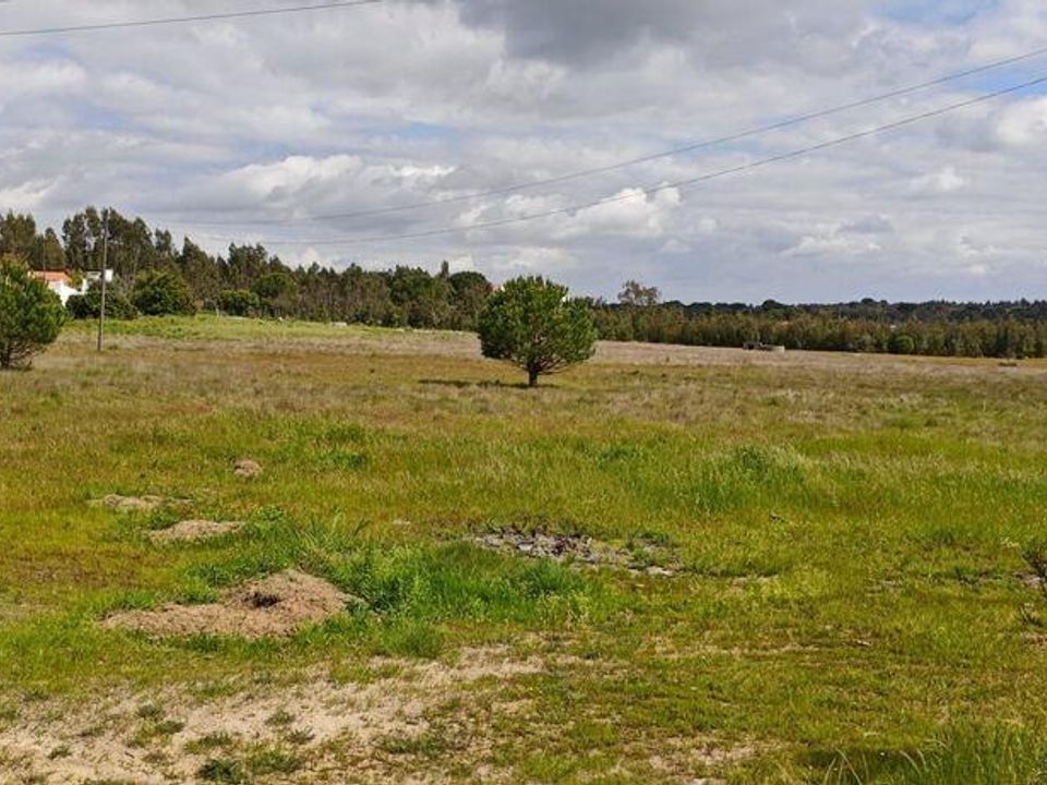 Działka: Coruche, Santarem – zdjęcie 2