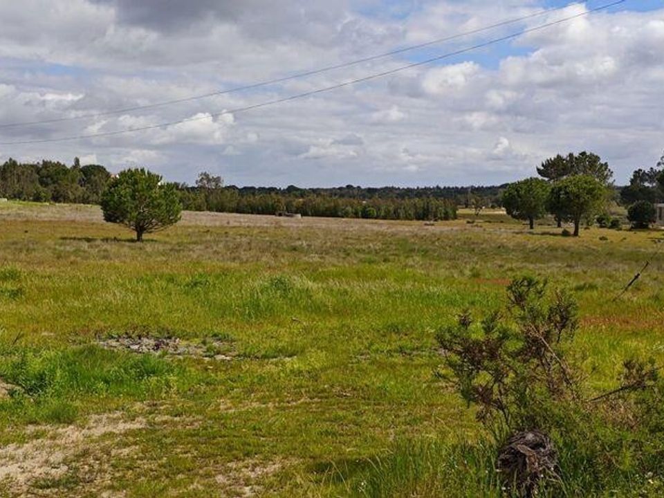 Działka: Coruche, Santarem – zdjęcie 3