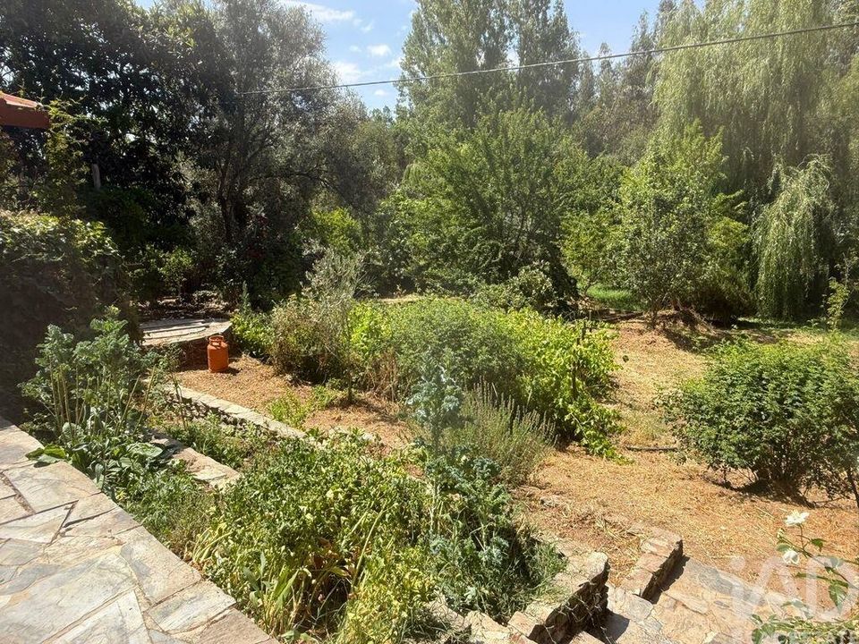 Terreno en Odemira, Beja - foto 5