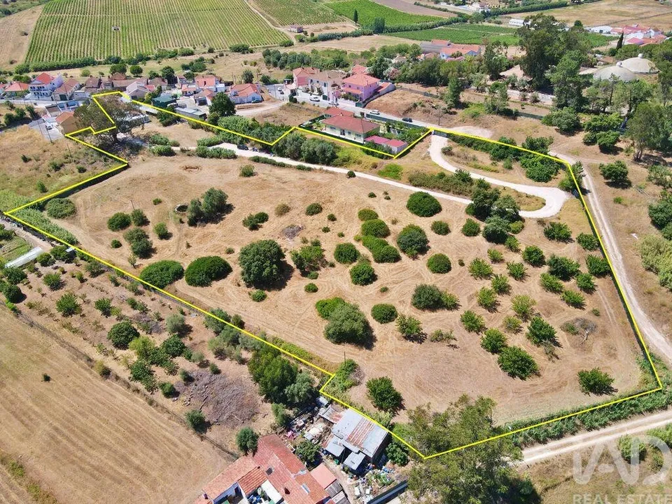 Farm i Alenquer, Lisbon - foto 3