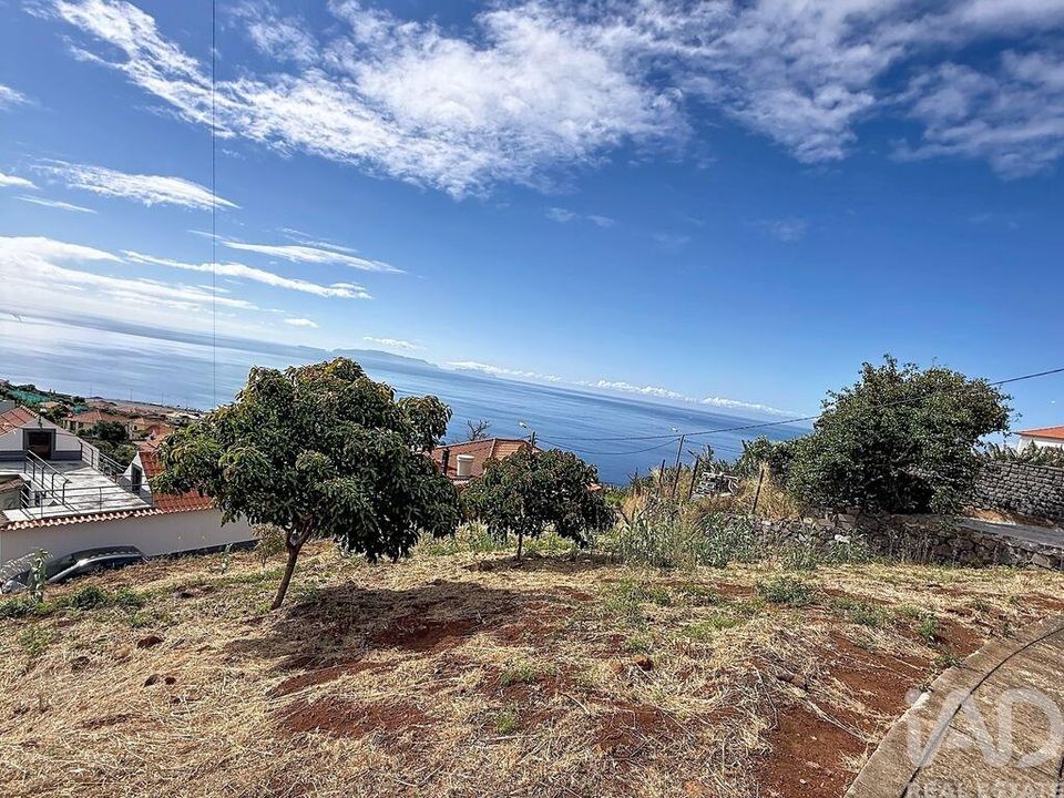 Helårsgrund i Santa Cruz, Madeira - foto 1