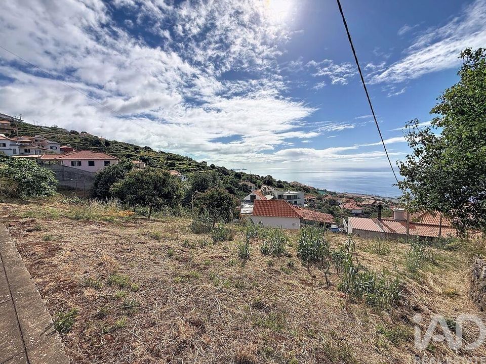 Helårsgrund i Santa Cruz, Madeira - foto 2