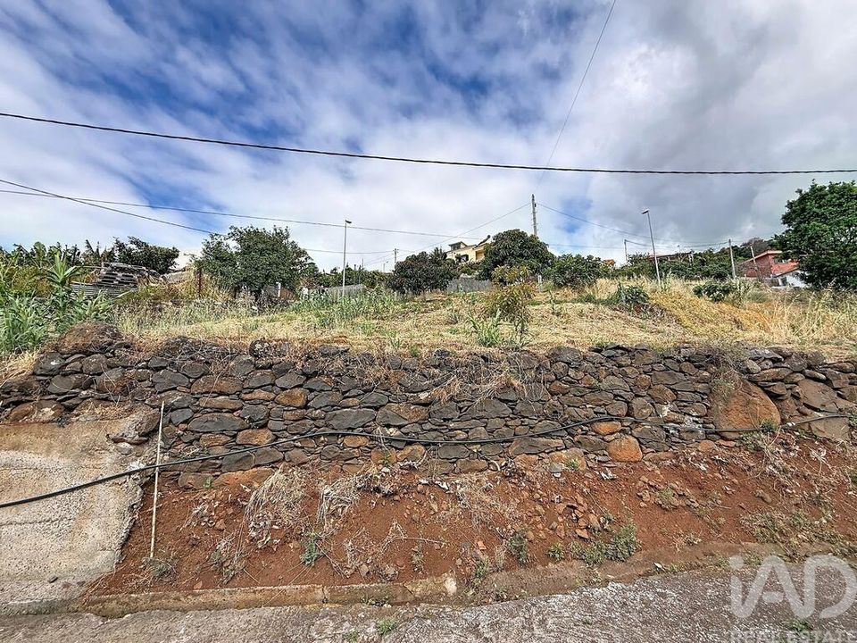 Helårsgrund i Santa Cruz, Madeira - foto 4