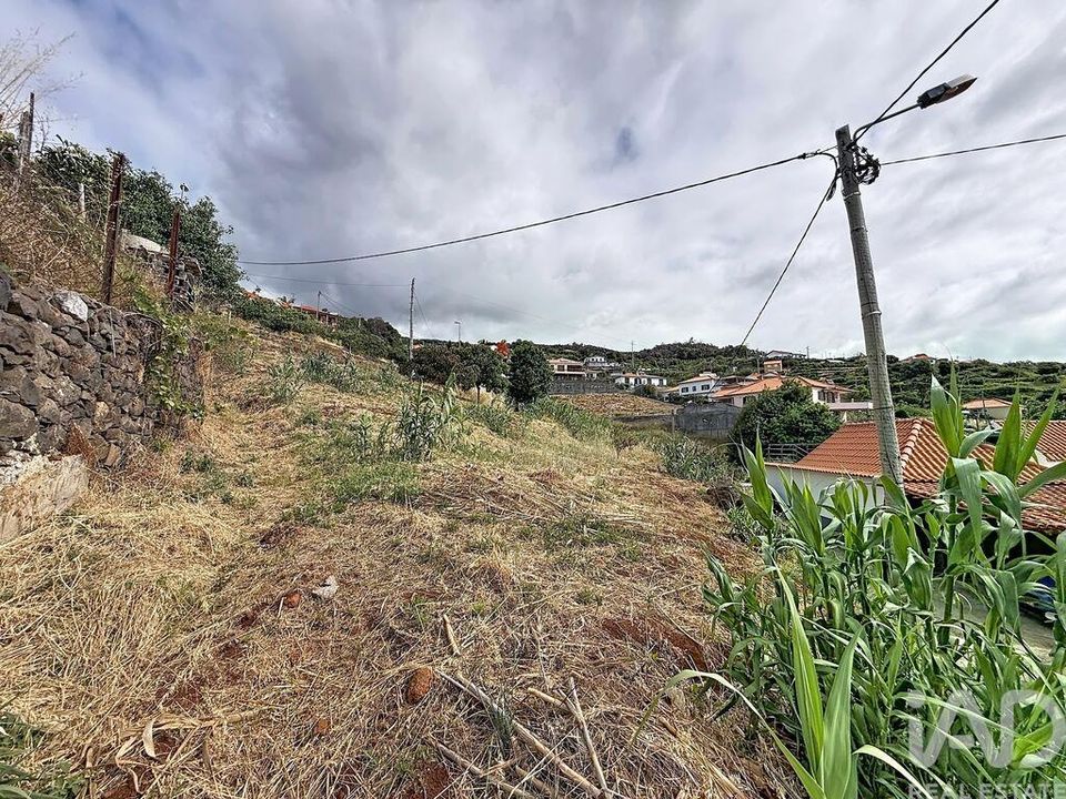 Helårsgrund i Santa Cruz, Madeira - foto 5