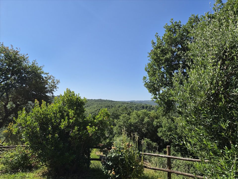Siedlisko: Citta della Pieve, Perugia – zdjęcie 3