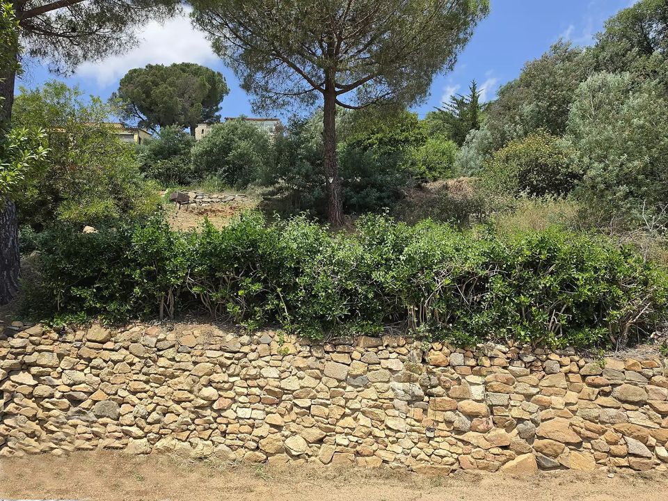 Helårsgrund i Calonge, Gerona - foto 3