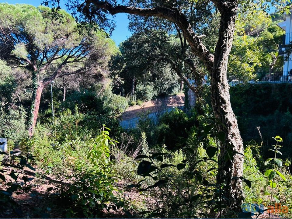 Helårsgrund i Canet De Mar, Barcelona - foto 4