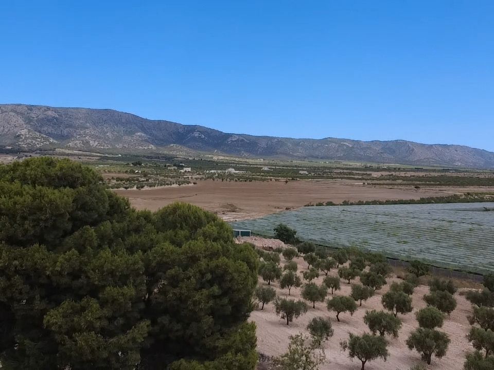 Finca en Lel, Alicante - foto 5