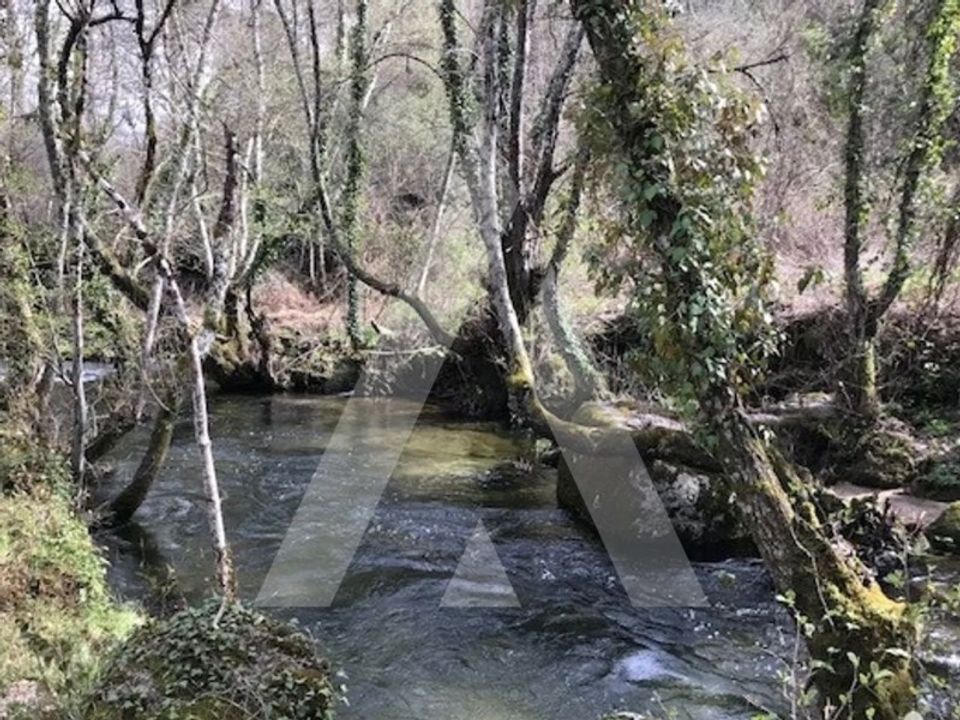 Farm i Tondela, Viseu - foto 1