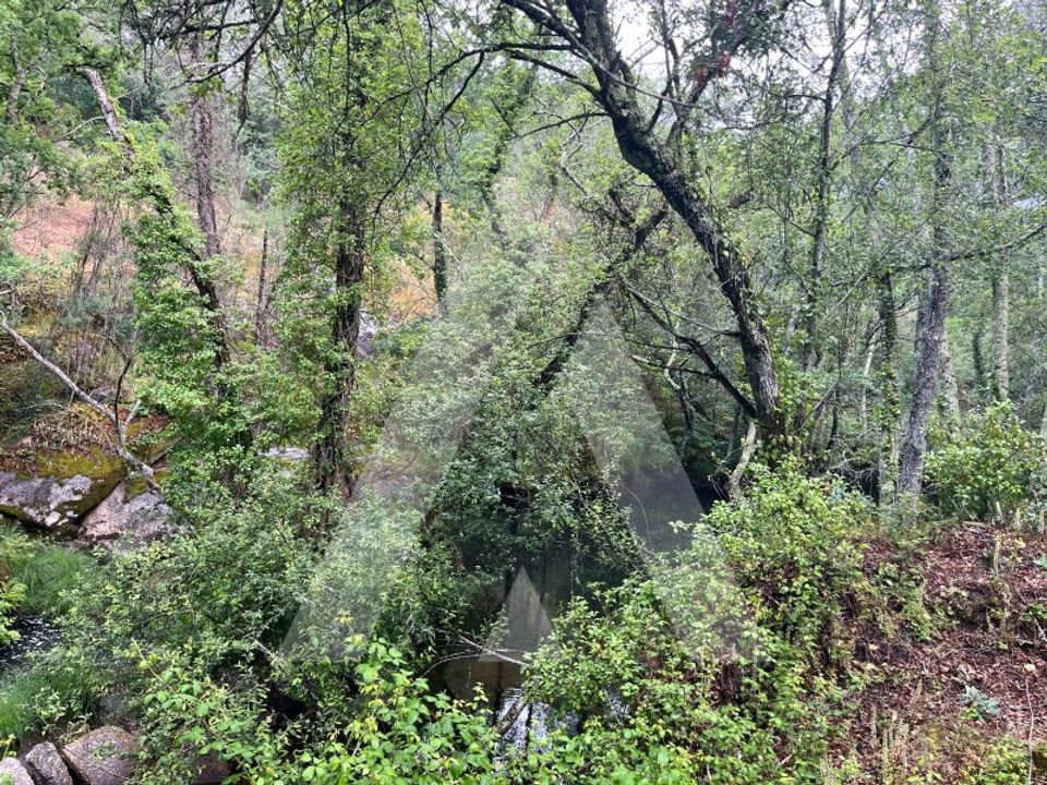 Farm i Tondela, Viseu - foto 3