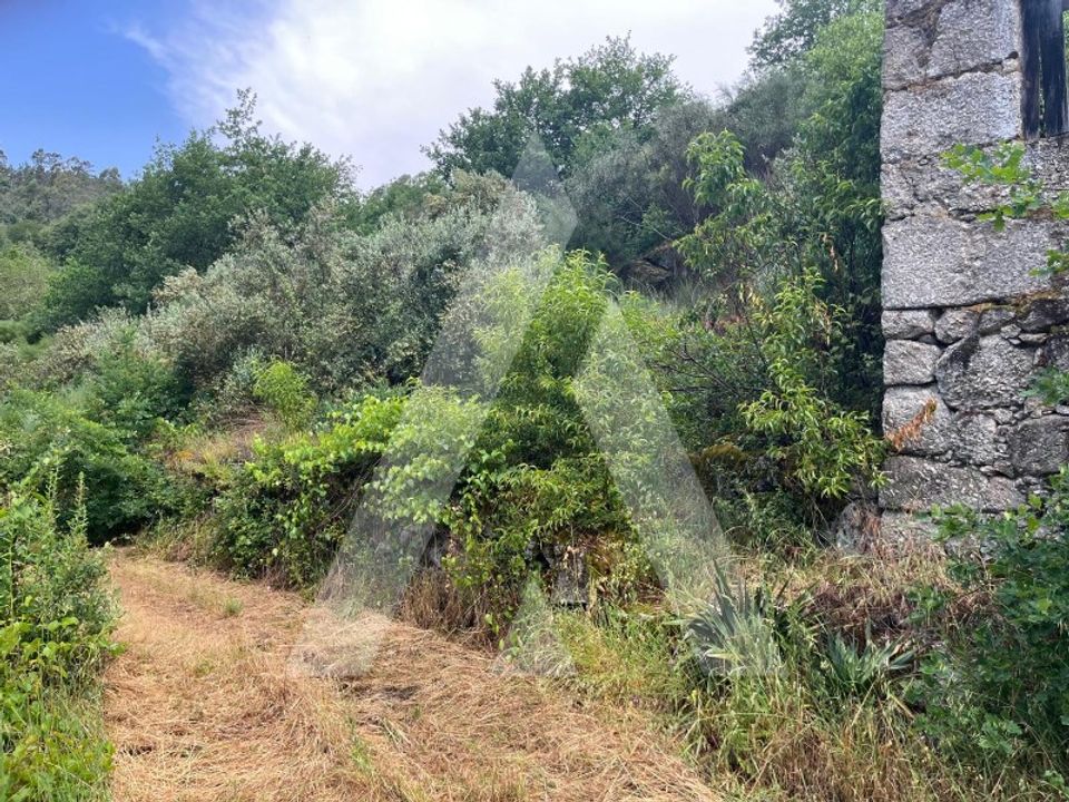 Farm i Tondela, Viseu - foto 5