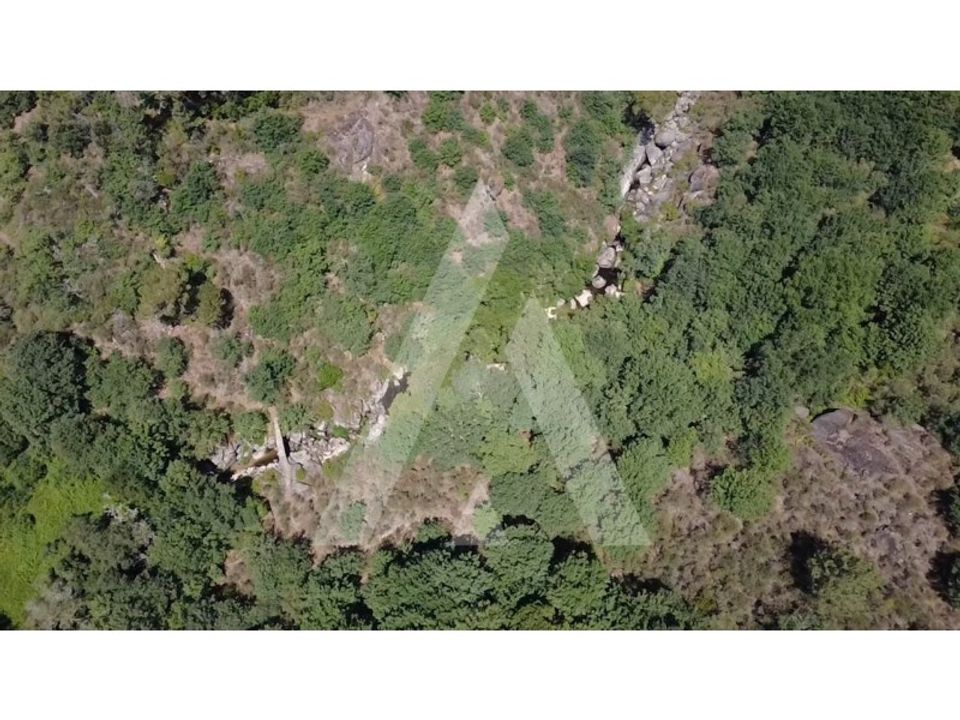 Farm i Tondela, Viseu - foto 1
